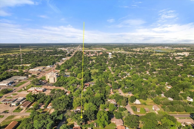 bird's eye view