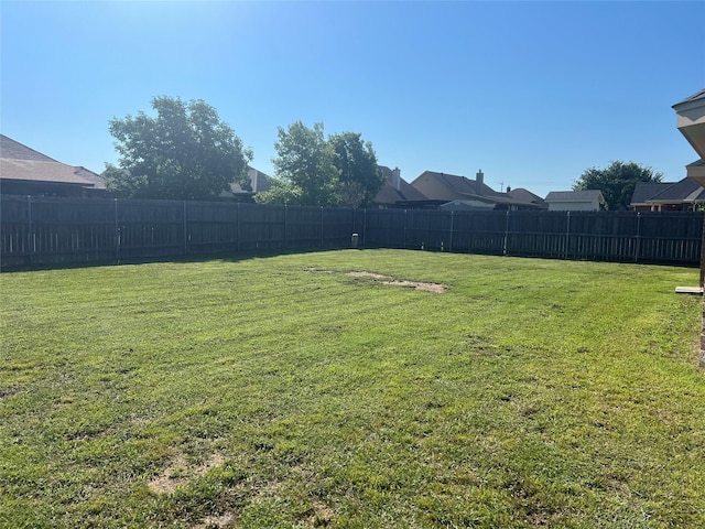 view of yard