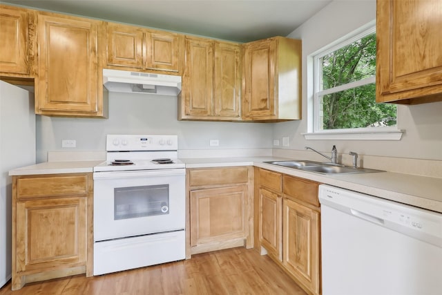 12824 Seagoville Rd, Balch Springs, TX 75180 - kitchen with white appliances, under cabinet range hood, a sink, light countertops, and light wood-type flooring