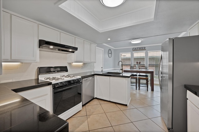 1503 Hindsdale Dr, Richardson, TX 75081 - kitchen with appliances with stainless steel finishes, under cabinet range hood, ornamental molding, a sink, and a tray ceiling