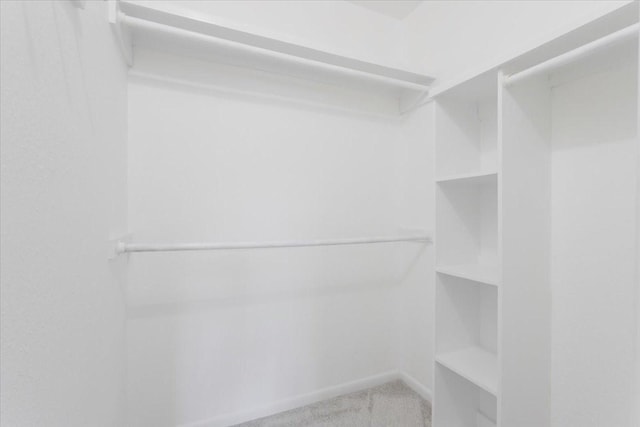 200 Herberta St, Pottsboro, TX 75076 - walk in closet with carpet floors