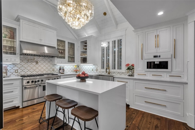 417 Windwood Ct, Mckinney, TX 75071 - kitchen featuring double oven range, under cabinet range hood, a sink, white cabinets, and recessed lighting