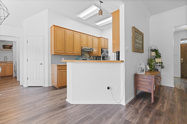 2521 Trail Tree Ct, Burleson, TX 76028 - kitchen with wood finished floors, a sink, ornamental molding, under cabinet range hood, and baseboards