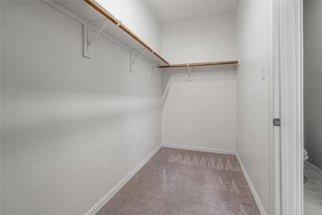 2545 Stella Ln, Northlake, TX 76247 - walk in closet with carpet floors
