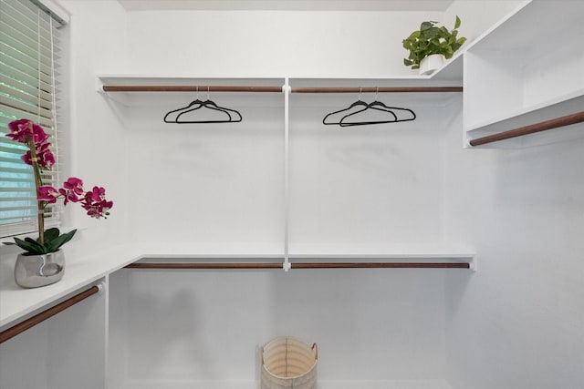 2544 Wedglea Dr, Dallas, TX 75211 - view of spacious closet