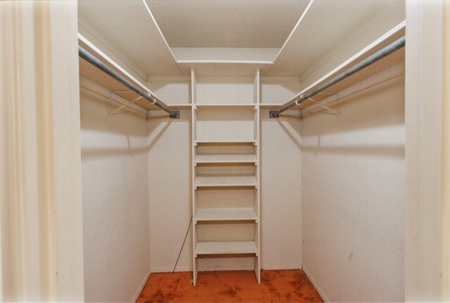 1300 Woodland Trail Dr, Bowie, TX 76230 - walk in closet featuring carpet flooring