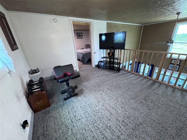 235 Hcr 2128, Whitney, TX 76692 - workout area featuring a textured wall, carpet floors, and a textured ceiling
