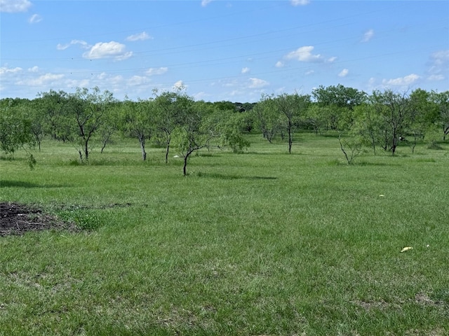 235 Hcr 2128, Whitney, TX 76692 - view of local wilderness with rural landscape