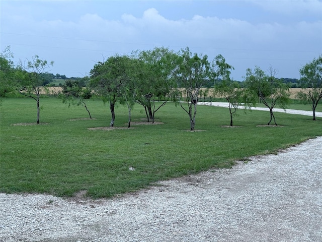 235 Hcr 2128, Whitney, TX 76692 - view of property's community featuring a lawn