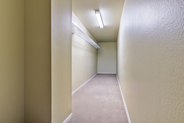 1430 Westmont Dr, Allen, TX 75013 - walk in closet with carpet