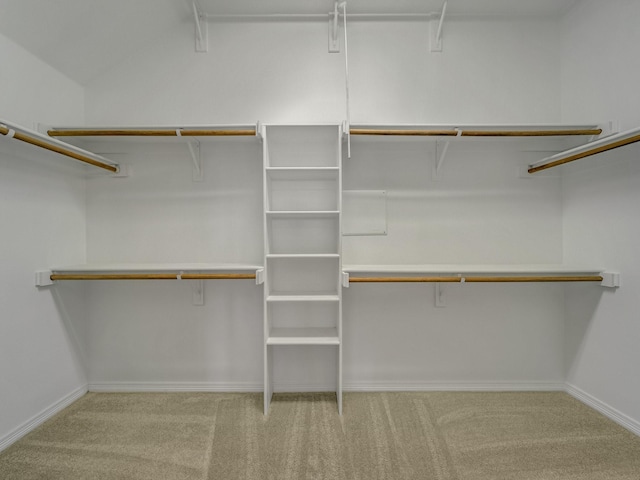 walk in closet featuring carpet flooring