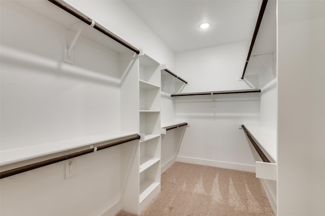 6725 Palmdale Dr, Fort Worth, TX 76123 - spacious closet with light carpet