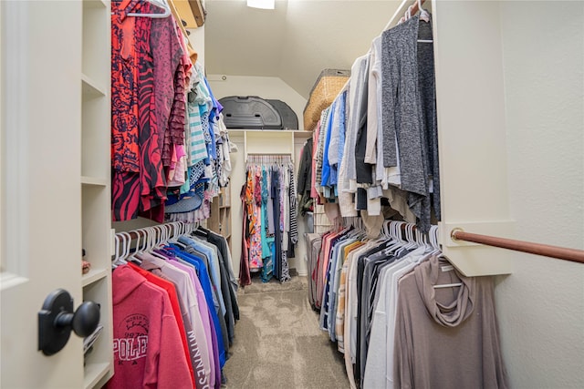 1020 High Meadow Dr, Mount Vernon, TX 75457 - spacious closet with carpet floors