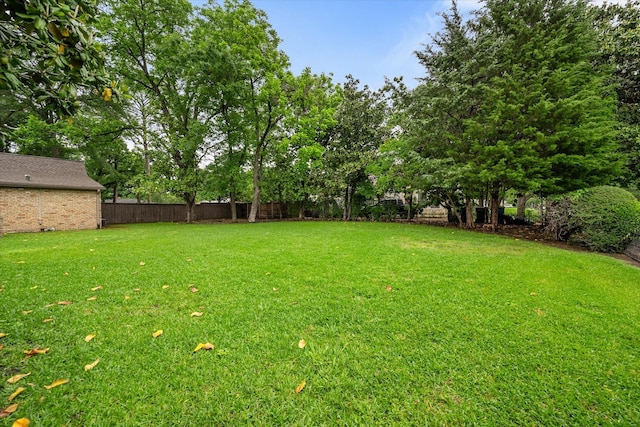 1111 Governors Dr, Corsicana, TX 75110 - view of yard