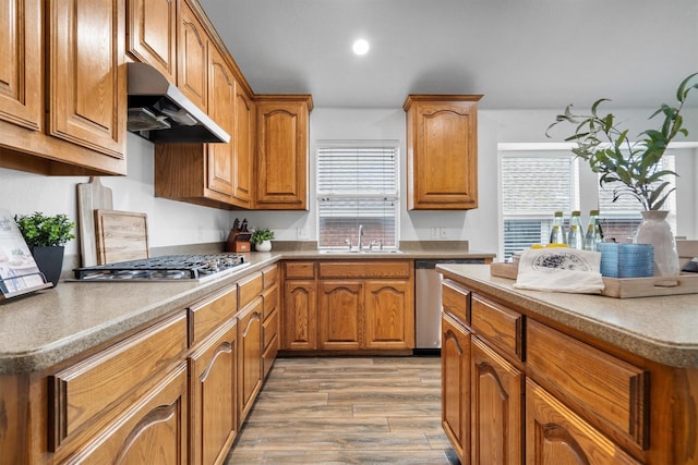 10149 Red Bluff Ln, Fort Worth, TX 76177 - kitchen with a sink, under cabinet range hood, stainless steel appliances, plenty of natural light, and recessed lighting