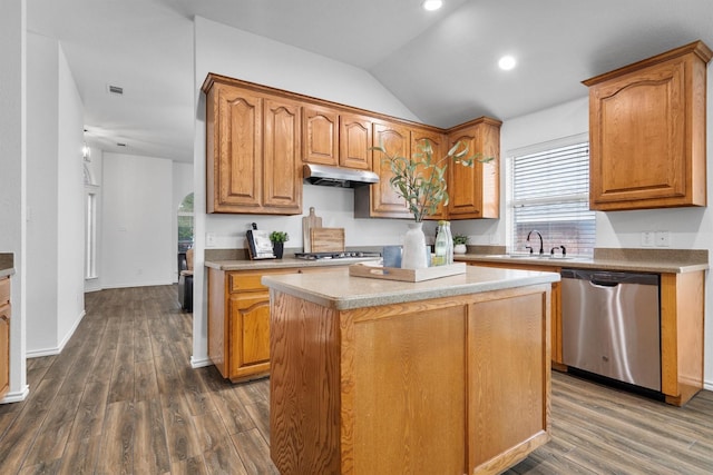 10149 Red Bluff Ln, Fort Worth, TX 76177 - kitchen featuring dishwasher, a sink, under cabinet range hood, dark wood finished floors, and lofted ceiling