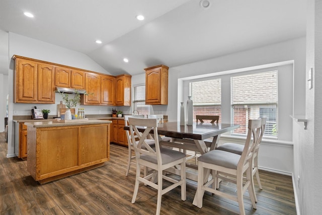 10149 Red Bluff Ln, Fort Worth, TX 76177 - kitchen with lofted ceiling, plenty of natural light, dark wood finished floors, under cabinet range hood, and recessed lighting