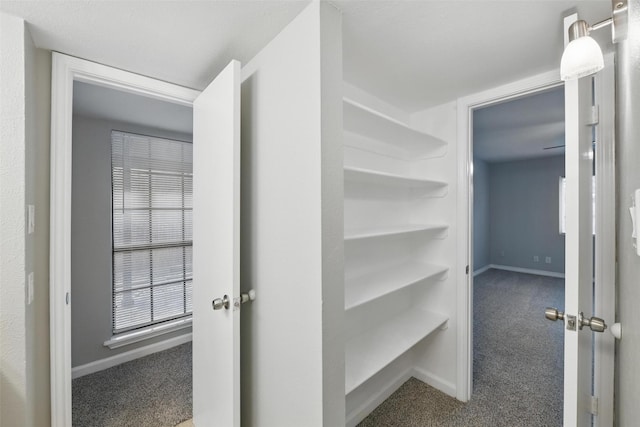 4620 Carr St, The Colony, TX 75056 - spacious closet featuring carpet