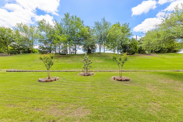 1316 Shinnecock Ct, Fairview, TX 75069 - view of green lawn
