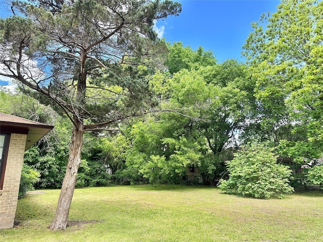 213 W Tennie St, Gainesville, TX 76240 - view of grassy yard