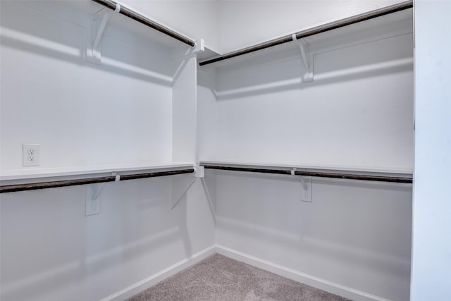 6628 Kort St, Rowlett, TX 75089 - spacious closet featuring carpet flooring