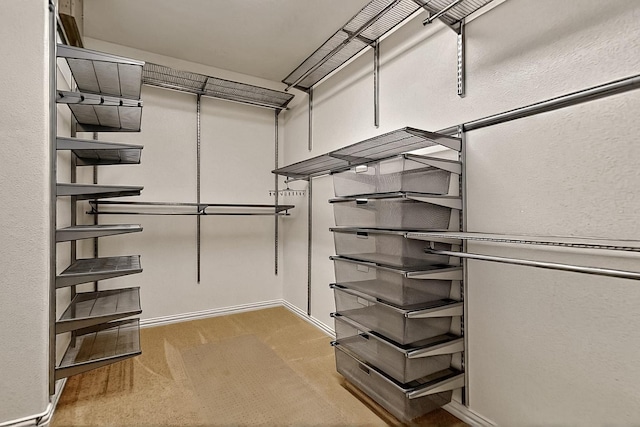 11908 Glenbrook St, Denton, TX 76207 - spacious closet with carpet floors