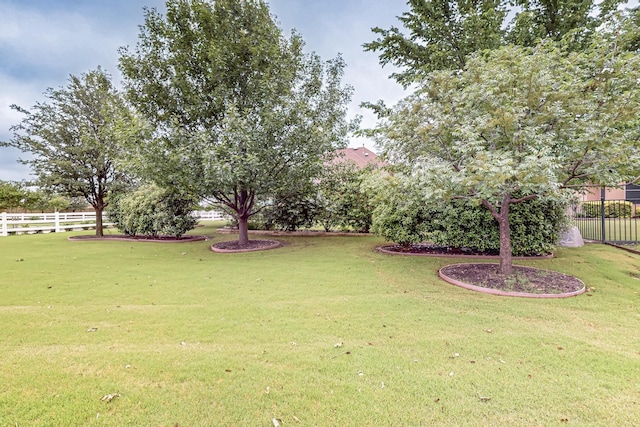 11908 Glenbrook St, Denton, TX 76207 - view of yard