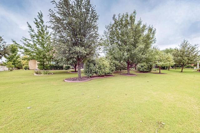 11908 Glenbrook St, Denton, TX 76207 - view of grassy yard