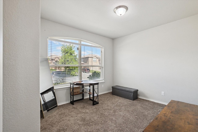 1127 Donnington Trl, Saginaw, TX 76131 - office area with carpet and baseboards