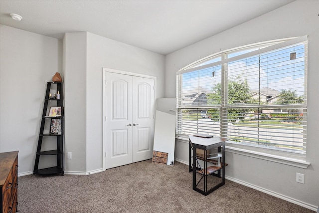 1127 Donnington Trl, Saginaw, TX 76131 - home office featuring carpet floors and baseboards