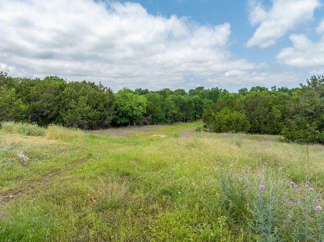 TBD S Big Red Way, China Spring, TX 76633