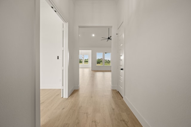 4413 Sandstrom Way, Fort Worth, TX 76179 - hallway featuring light wood-type flooring and baseboards
