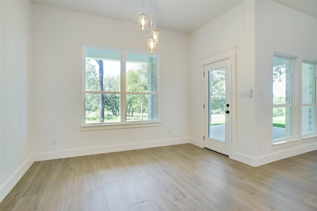 316 Falcon Ct, Springtown, TX 76082 - unfurnished dining area featuring healthy amount of natural light, wood finished floors, and baseboards