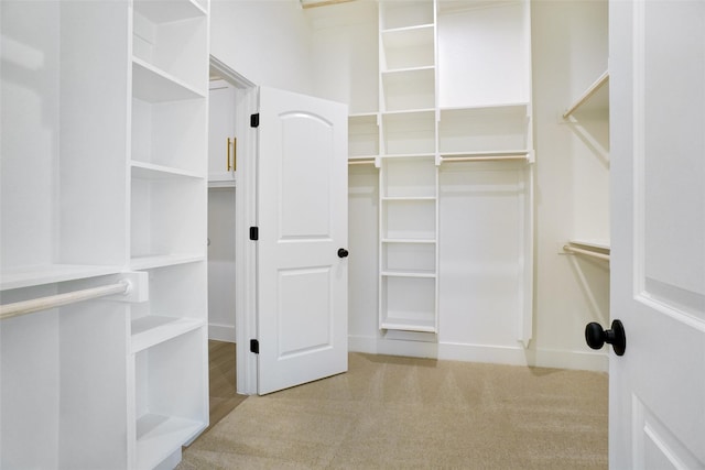 316 Falcon Ct, Springtown, TX 76082 - walk in closet featuring carpet flooring