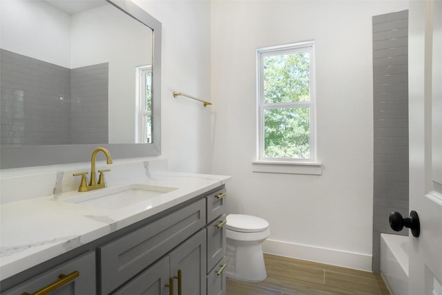 316 Falcon Ct, Springtown, TX 76082 - full bathroom with vanity, plenty of natural light, toilet, and wood finished floors