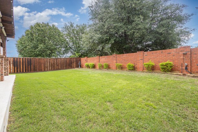 12604 Ocean Spray Dr, Frisco, TX 75036 - view of yard