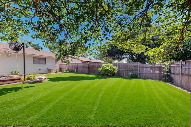 3714 Burning Tree Ln, Garland, TX 75042 - view of yard
