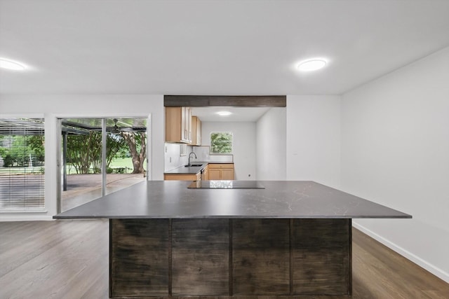 4512 Starlight Dr, Haltom City, TX 76117 - kitchen with a sink, dark wood finished floors, black electric cooktop, dark countertops, and healthy amount of natural light