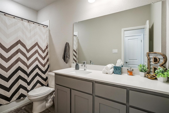full bath featuring toilet, vanity, and curtained shower