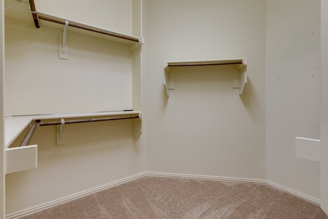 1002 Star Grass Dr, Mansfield, TX 76063 - spacious closet with carpet floors