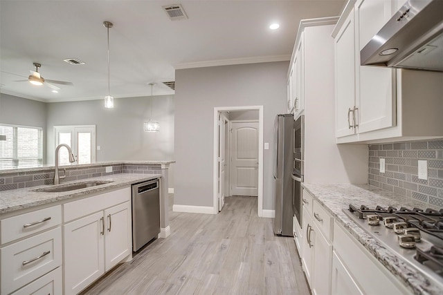 kitchen featuring ventilation hood, appliances with stainless steel finishes, a sink, a ceiling fan, and ornamental molding