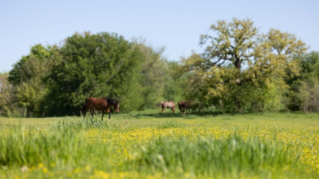 1346B Prairie Grove Rd, Valley View, TX 76272