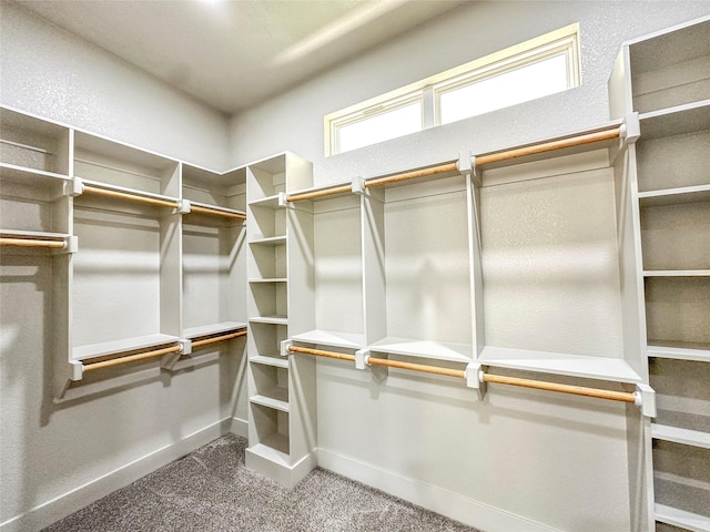 196 Jim Walter Dr, Runaway Bay, TX 76426 - spacious closet with carpet
