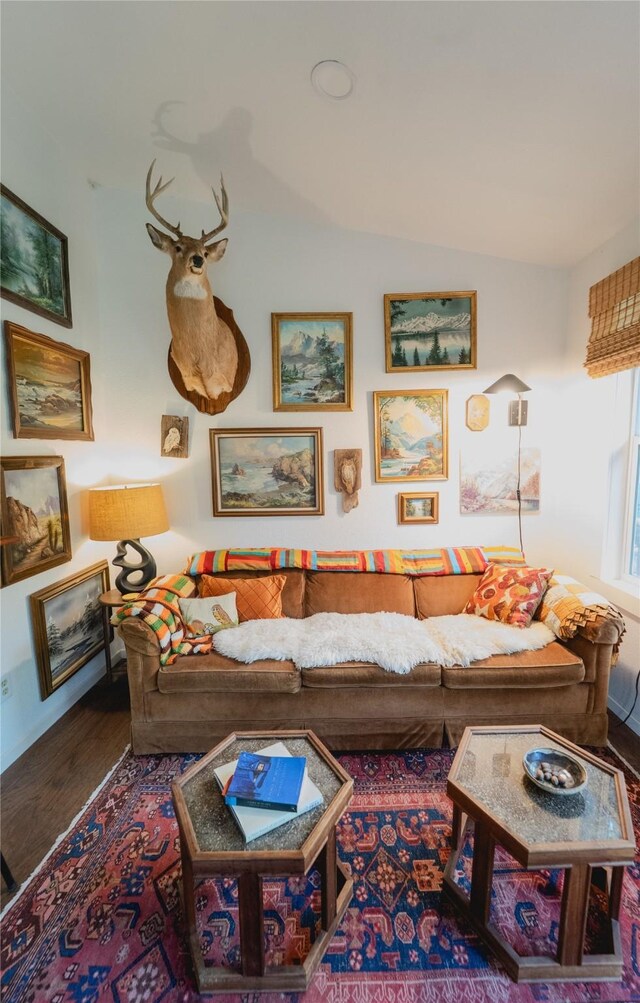 7006 Horseshoe Bend Trl, Weatherford, TX 76087 - living room featuring wood finished floors