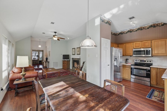 kitchen with appliances with stainless steel finishes, vaulted ceiling, a ceiling fan, dark wood-style floors, and light countertops