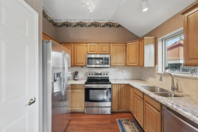 kitchen with appliances with stainless steel finishes, a sink, dark wood-style flooring, vaulted ceiling, and light stone countertops