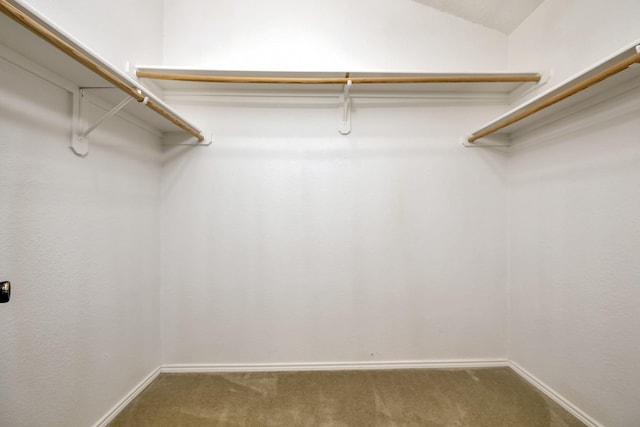 6717 Red Rock Trl, Watauga, TX 76137 - walk in closet featuring carpet