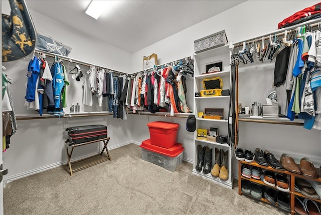 spacious closet with carpet