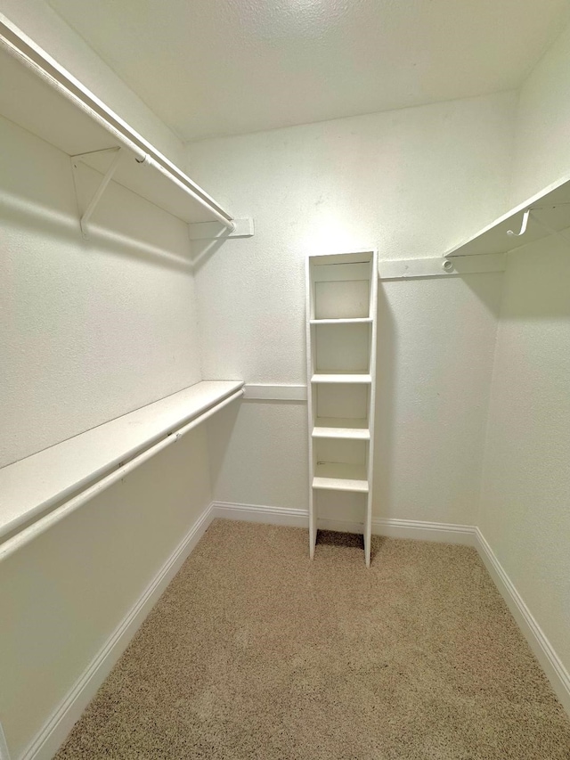 5711 Trail Lake Dr, Arlington, TX 76016 - walk in closet with light carpet