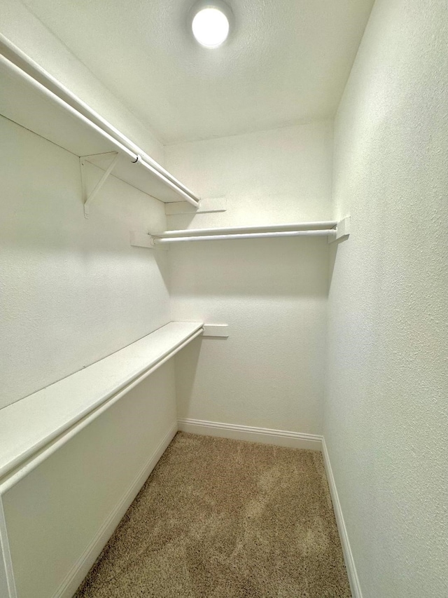 5711 Trail Lake Dr, Arlington, TX 76016 - spacious closet featuring carpet floors